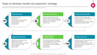 Steps To Develop Market Size Expansion Strategy The Ultimate Market Leader Strategy SS