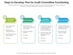 Steps to develop plan for audit committee functioning