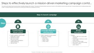 Steps To Effectively Launch Sustainable Marketing Principles To Improve Lead Generation MKT SS V Researched Editable