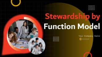 Stewardship By Function Model Powerpoint Presentation Slides