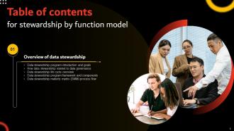 Stewardship By Function Model Powerpoint Presentation Slides Analytical Content Ready