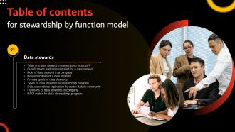Stewardship By Function Model Table Of Contents Ppt Information