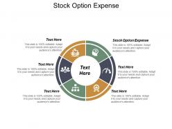 Stock option expense ppt powerpoint presentation inspiration graphic tips cpb