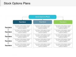 Stock options plans ppt powerpoint presentation icon aids cpb
