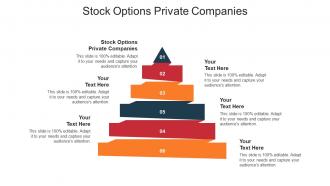 Stock options private companies ppt powerpoint presentation pictures slide cpb