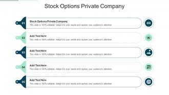 Stock Options Private Company In Powerpoint And Google Slides Cpb