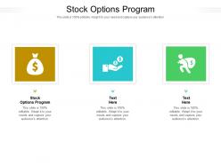 Stock options program ppt powerpoint presentation ideas slides cpb