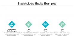 Stockholders equity examples ppt powerpoint presentation pictures skills cpb