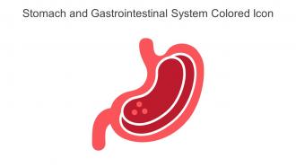 Stomach And Gastrointestinal System Colored Icon In Powerpoint Pptx Png And Editable Eps Format