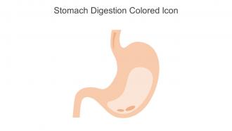 Stomach Digestion Colored Icon In Powerpoint Pptx Png And Editable Eps Format