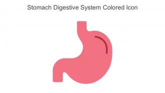 Stomach Digestive System Colored Icon In Powerpoint Pptx Png And Editable Eps Format