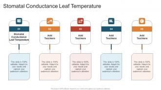 Stomatal Conductance Leaf Temperature In Powerpoint And Google Slides Cpb