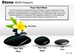 Stones with flowers powerpoint presentation slides