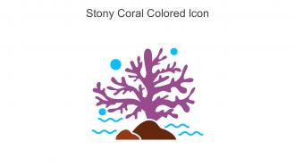 Stony Coral Colored Icon In Powerpoint Pptx Png And Editable Eps Format