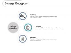 Storage encryption ppt powerpoint presentation icon sample cpb