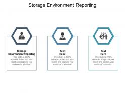 Storage environment reporting ppt powerpoint presentation ideas portrait cpb