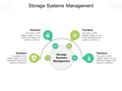 Storage systems management ppt powerpoint presentation gallery template