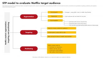 STP Model To Evaluate Netflix Target Comprehensive Marketing Mix Strategy Of Netflix Strategy SS V