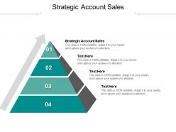 Strategic account sales ppt powerpoint presentation summary example cpb
