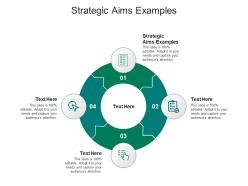 Strategic aims examples ppt powerpoint presentation infographic template ideas cpb