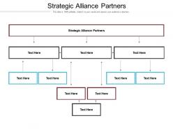 Strategic alliance partners ppt powerpoint presentation files cpb