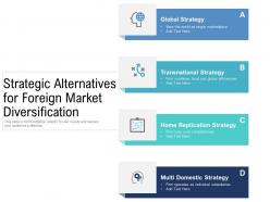 Strategic alternatives for foreign market diversification