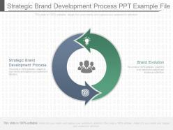 Strategic brand development process ppt example file