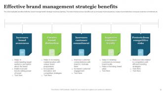 Strategic Brand Management Powerpoint Ppt Template Bundles