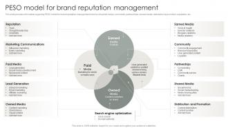 Strategic Brand Management Process Peso Model For Brand Reputation Management