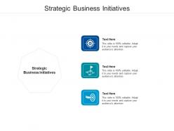 Strategic business initiatives ppt powerpoint presentation outline structure cpb