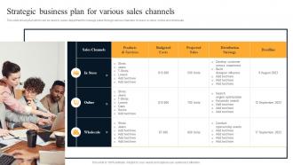 Strategic Business Plan For Various Sales Channels