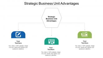 Strategic business unit advantages ppt powerpoint presentation professional gridlines cpb
