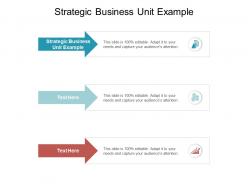 Strategic business unit example ppt powerpoint presentation show cpb