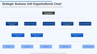 Strategic Business Unit Organizational Chart