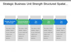 Strategic business unit strength structured spatial decision process