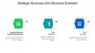 Strategic business unit structure example ppt powerpoint presentation show gallery cpb