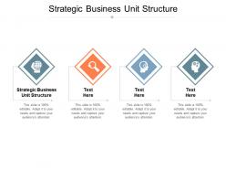 Strategic business unit structure ppt powerpoint presentation inspiration slide download cpb