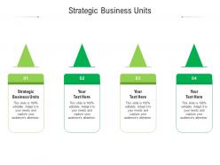 Strategic business units ppt powerpoint presentation slides icons cpb