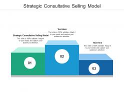 Strategic consultative selling model ppt powerpoint presentation show example cpb