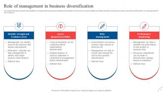 Strategic Diversification To Reduce Business Investment Risk Strategy CD V Appealing Aesthatic
