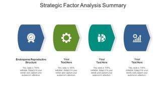 Strategic factor analysis summary ppt powerpoint presentation show deck cpb
