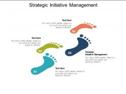 Strategic initiative management ppt powerpoint presentation summary display cpb