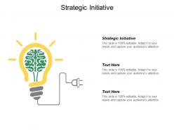 Strategic initiative ppt powerpoint presentation gallery backgrounds cpb