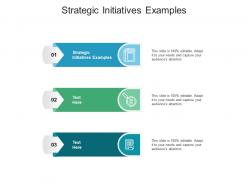 Strategic initiatives examples ppt powerpoint presentation infographics grid cpb