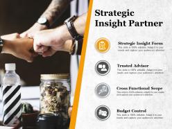 Strategic insight partner cross functional scope