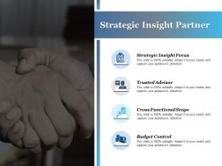 Strategic insight partner cross functional scope budget control