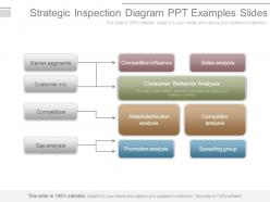 Strategic Inspection Diagram Ppt Examples Slides