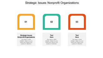 Strategic issues nonprofit organizations ppt powerpoint presentation summary information cpb
