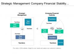 Strategic management company financial stability value measurement finance management cpb
