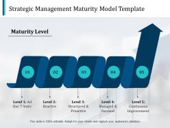 Strategic management maturity model marketing ppt pictures design templates
